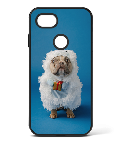 Google Pixel 2 XL Custom Case
